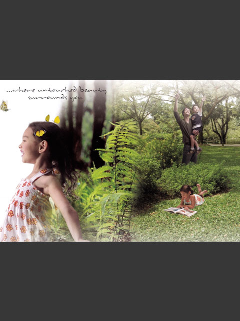 Brochures-001